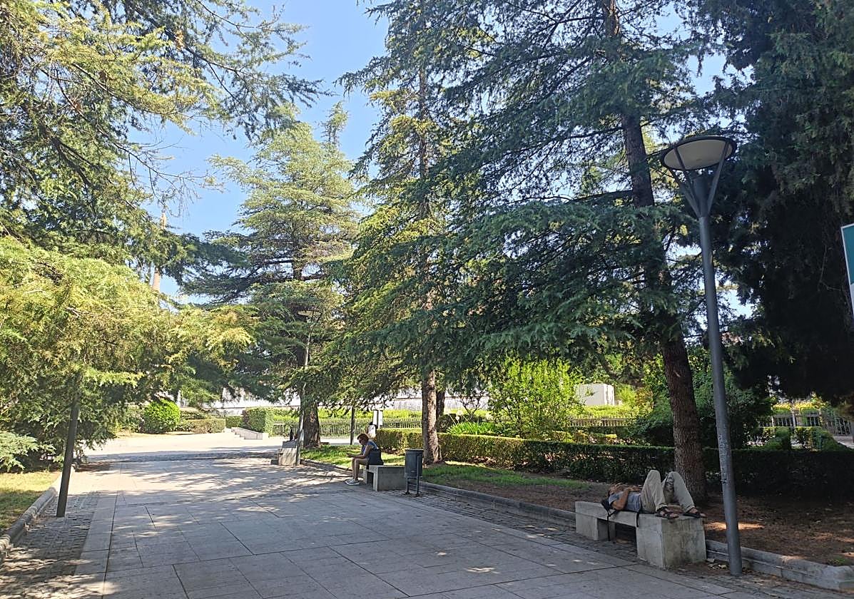 Sombra en el Triunfo.