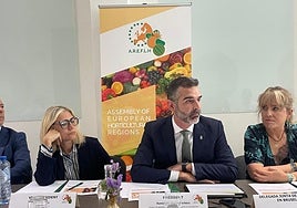 Ramón Fernández-Pacheco, presidiendo el Consejo de Administración de AREFLH.