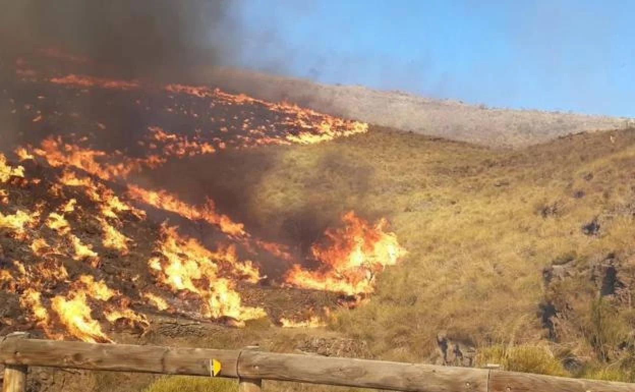 Imagen de archivo de un incendio forestal ocurrido en Almería.