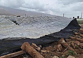 El Gobierno abona cerca de 12 millones en ayudas directas a 542 agricultores y ganaderos afectados por la DANA en Almería