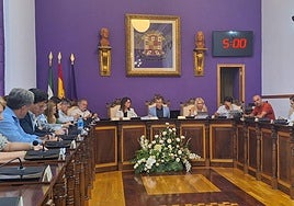 Los grupos durante el debate en el pleno del mes de julio.