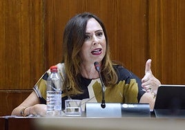 La Junta saca pecho de su aportación de 15 millones al cambio en el Puerto de Almería