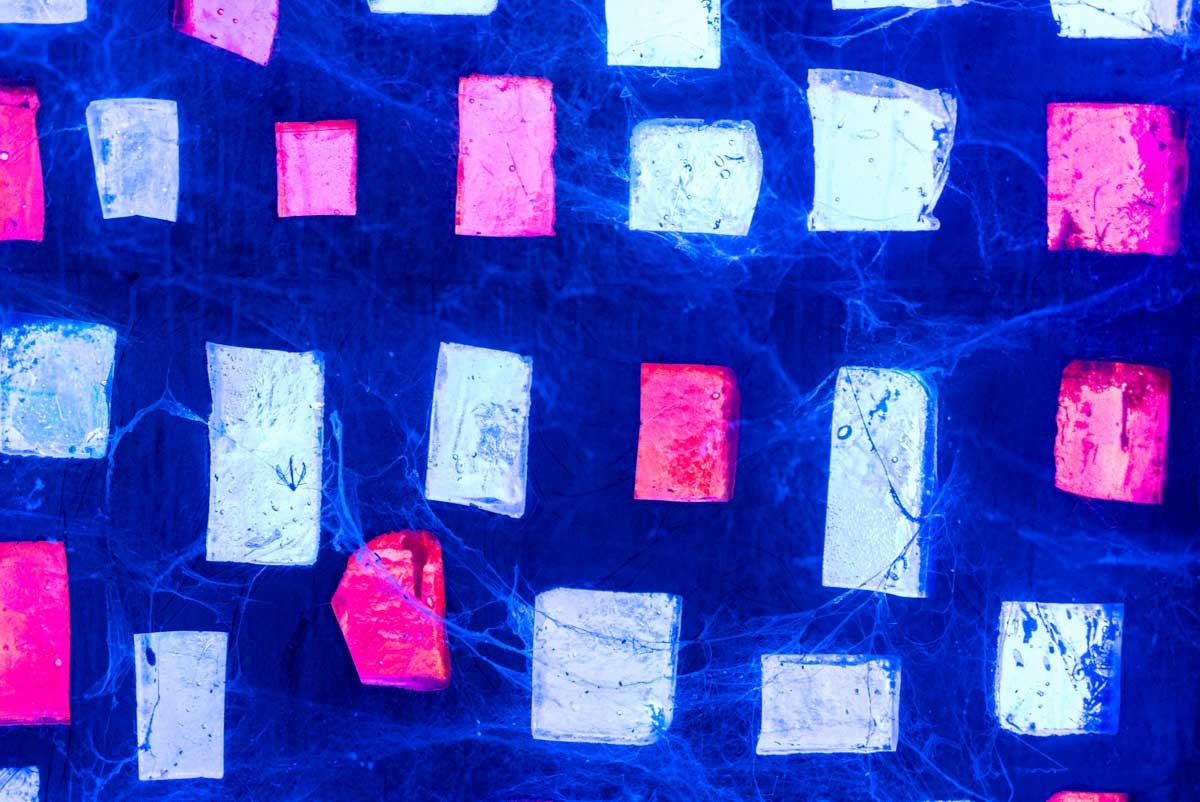 Dentro de la iglesia de Granada okupada por Bernardo