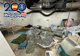 Armas de fuego, 300 plantas y munición: desmantelan una guardería de marihuana en Almería