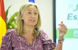 La consejera de Salud y Consumo, Rocío Hernández, en la presentación del proyecto 'Jardín de la Esperanza', en el Hospital Virgen Macarena.