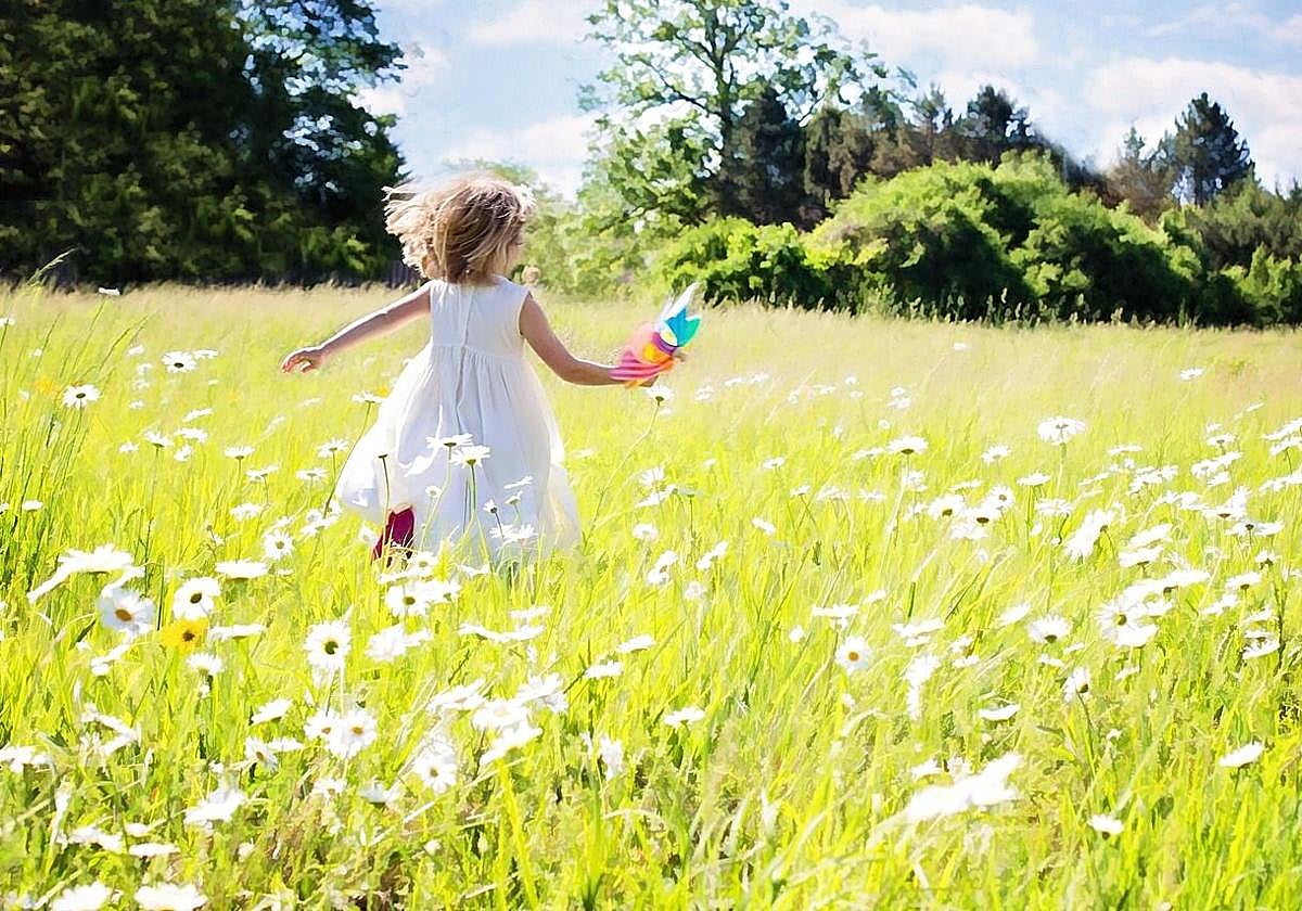 Humanos, racionales... y sociales