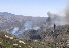 Declarado un incendio forestal en Cádiar, en la comarca de la Alpujarra.