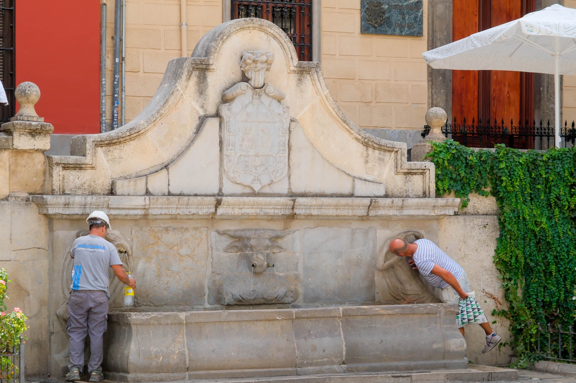 El calor hace estragos en Granada