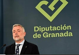 Nicolás Navarro, presidente en funciones de la Diputación de Granada.