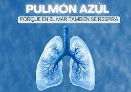 Cartel elaborado para dar difusión a esta actividad.