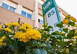 Unión en torno a la Universidad de Jaén tras el rechazo por parte de la Junta de Andalucía.