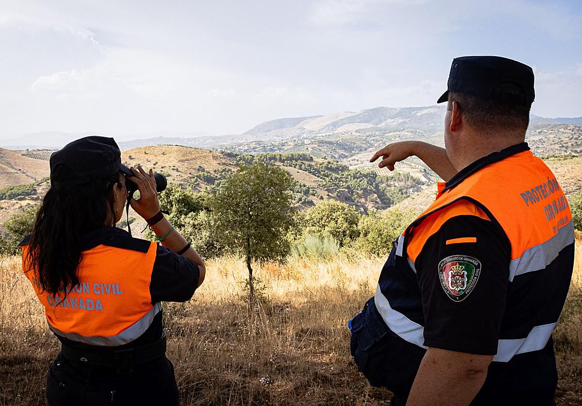 Los operarios vigilan el estado de la vegetación.