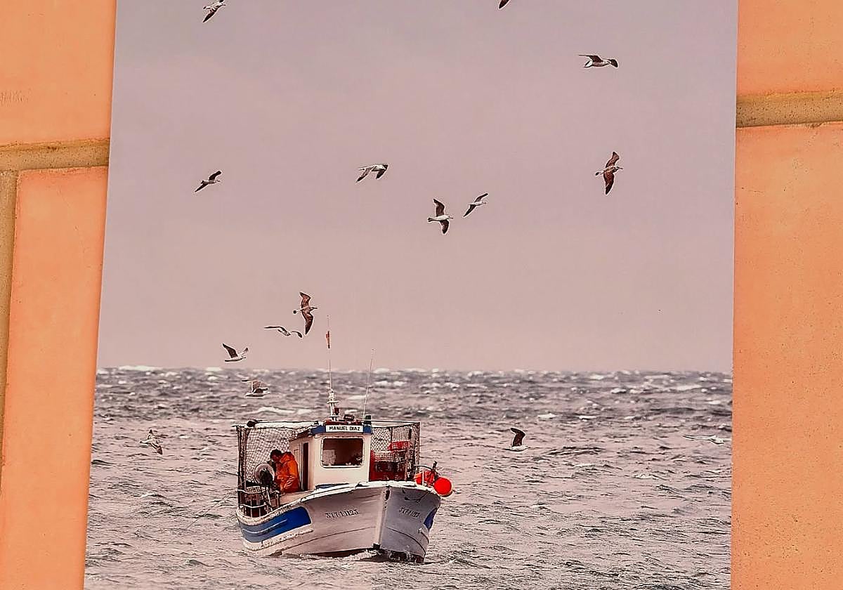 Carboneras premia las mejores 'capturas' de su alma marinera