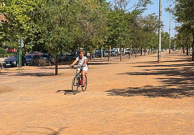 En Beiro es recurrente también la petición de un parque para niños en la mediana de Joaquina Eguaras y el espacio biosaludable de Casería del Cerro.