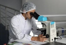 La Junta convoca ayudas por 17,43 millones para contratar a 129 investigadores doctores