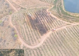 Incendio declarado este martes en Almuñécar.