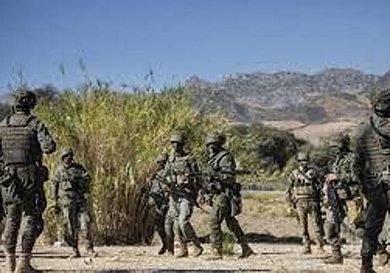 Entre bobos anda el juego