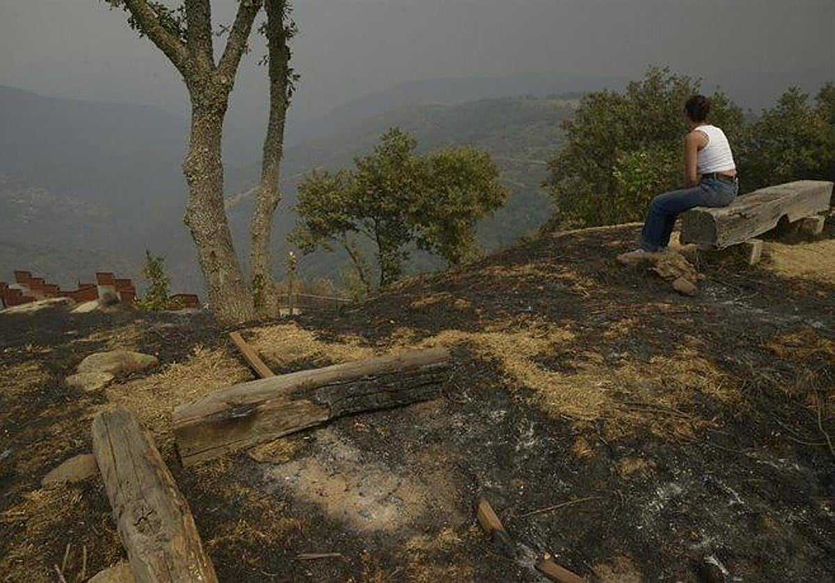 Vista del incendio, a 13 de agosto de 2025, en Ribas de la Valduerna, León, Castilla y León.