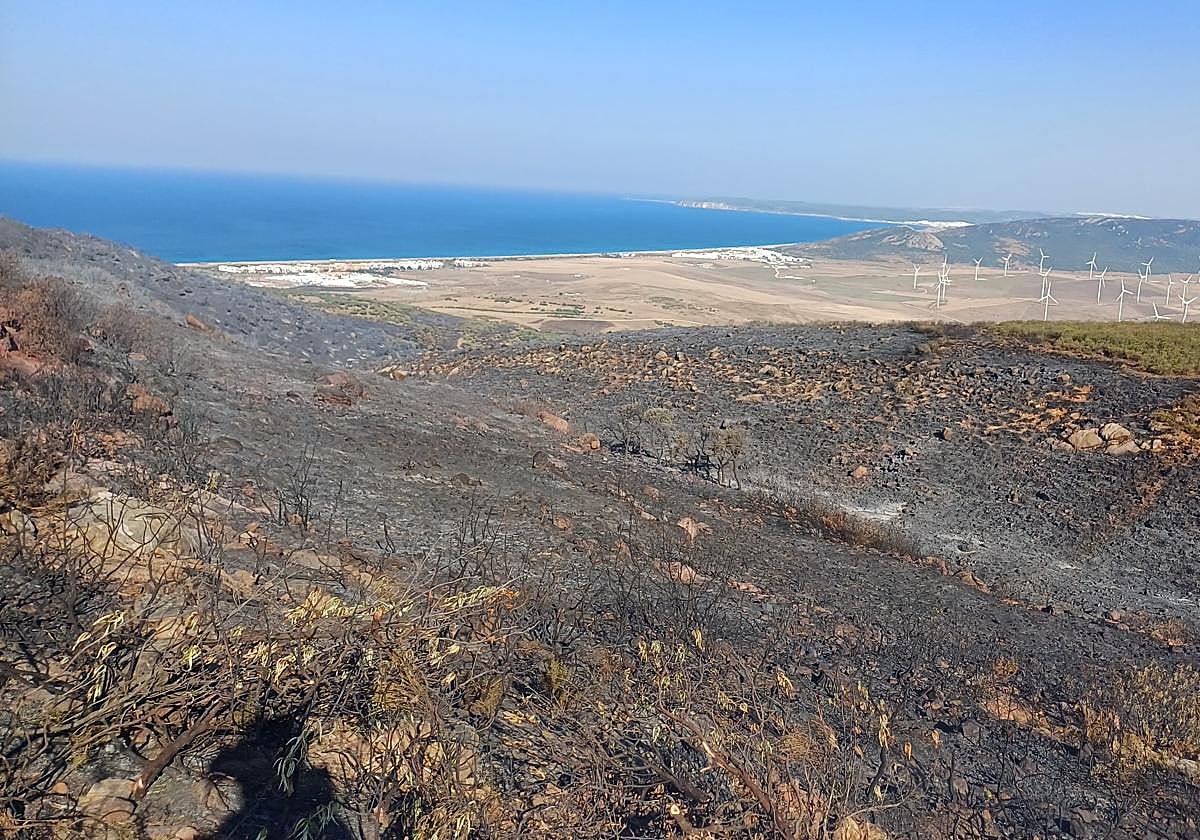 El Infoca da por controlado el incendio de Tarifa iniciado el lunes