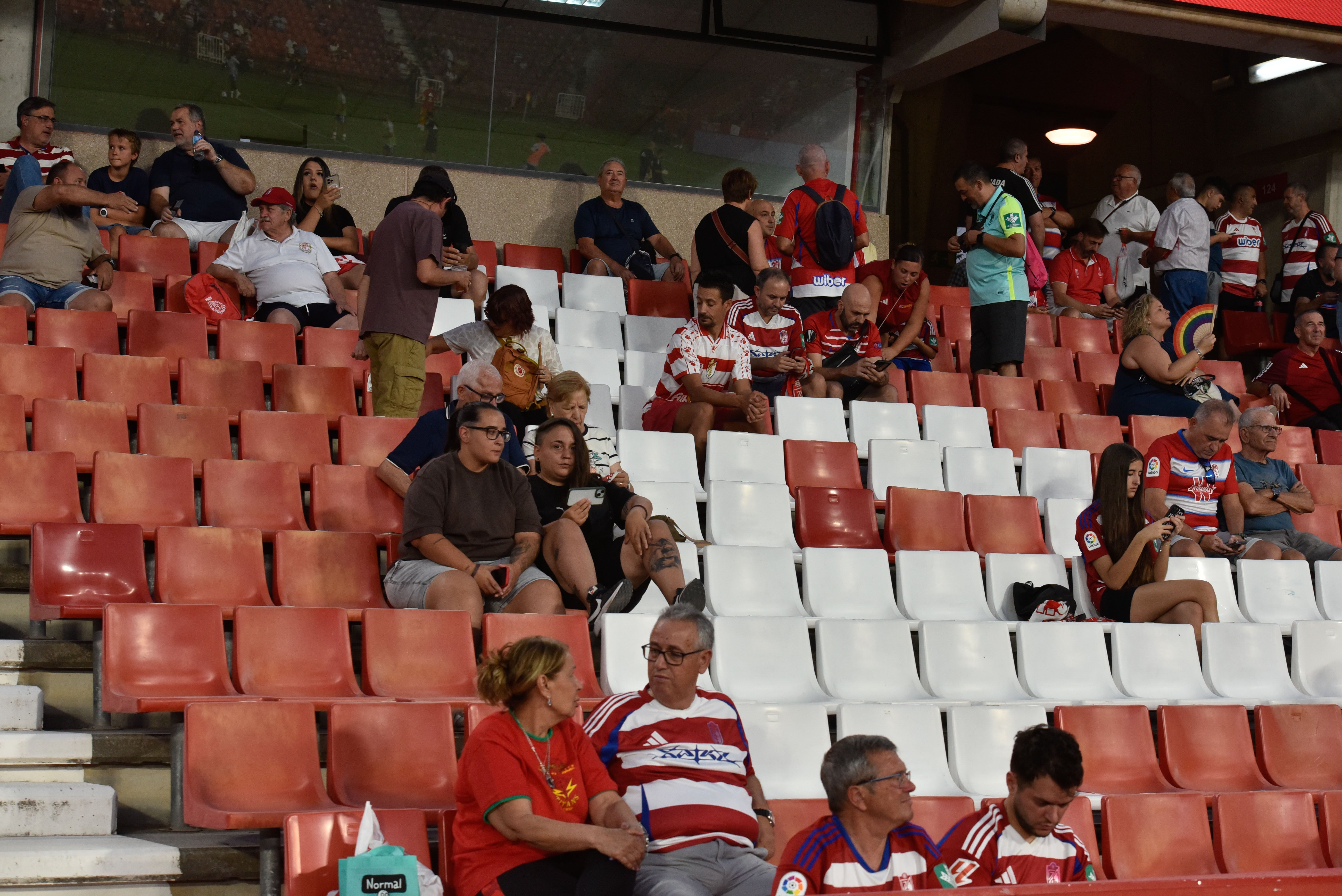 Encuéntrate en la grada del Granada-Depor
