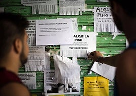 Un estudiante universitario revisa los anuncios de alquiler de pisos compartidos en un tabló