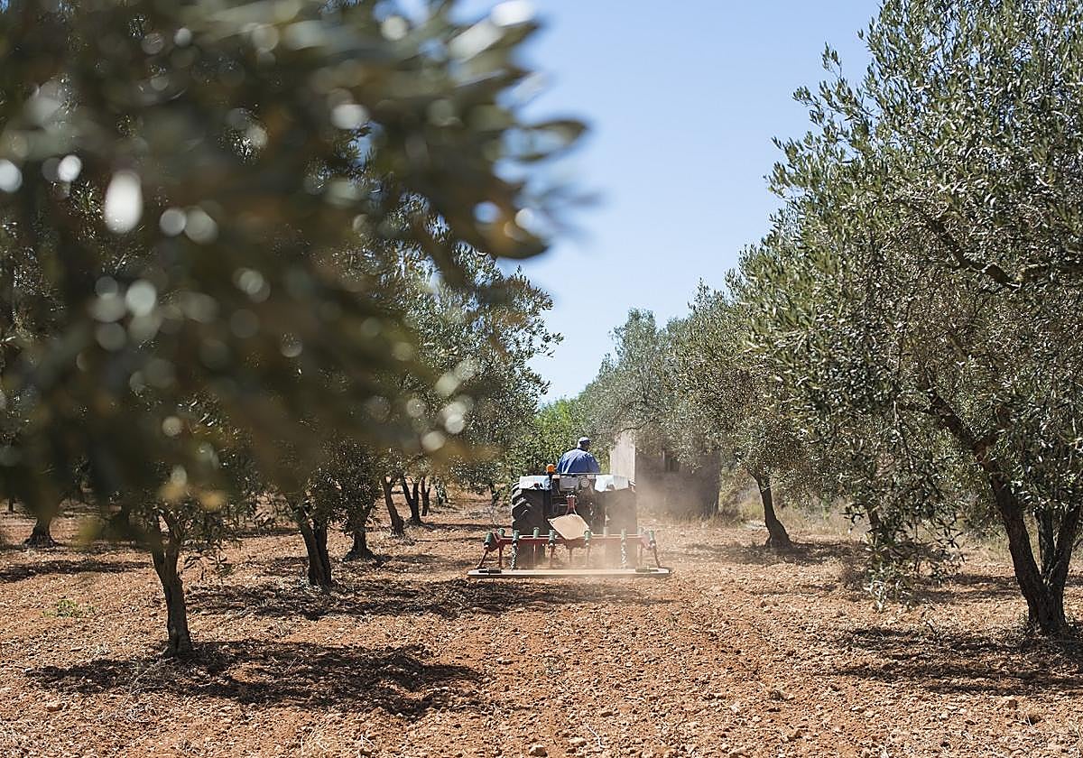 La Junta destina más de 300 millones en ayudas el relevo generacional y la maquinaria del campo
