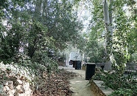 Labores de limpieza en los jardines de Jabalcuz.