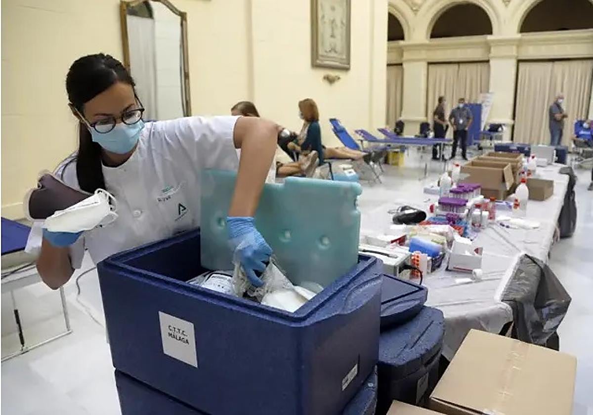 Una enfermera deposita las bolsas de sangre en un contenedor frigorífico.
