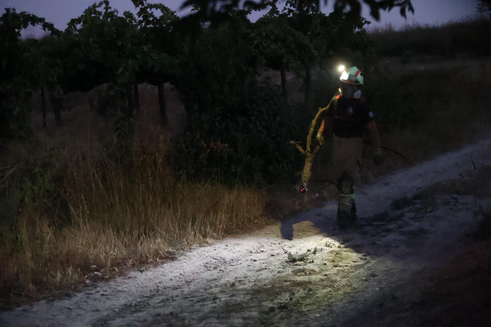 Desde dentro: Las imágenes del incendio de Benamaurel y Castilléjar