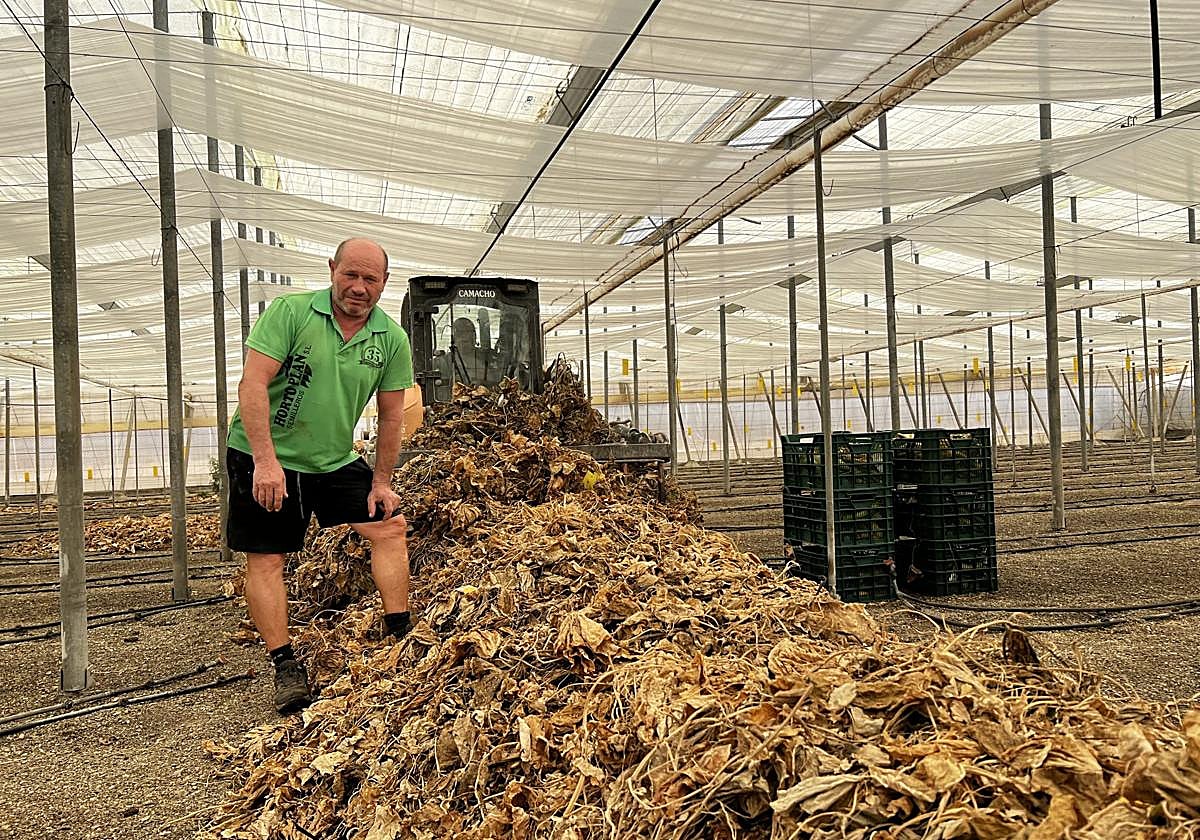 Un agricultor afectado en su finca.