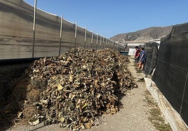 Desechos en las fincas de Carchuna.