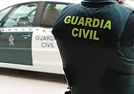 Detenidos dos hermanos acusados de robar y agredir a una pareja de ancianos en su casa