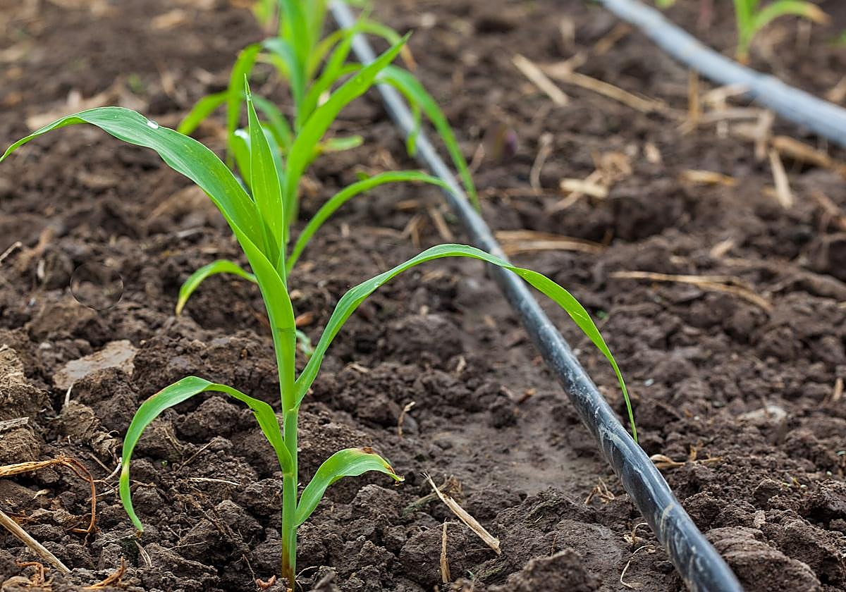 La Junta destina casi 28 millones para 53 iniciativas que reducen la dependencia energética del regadío