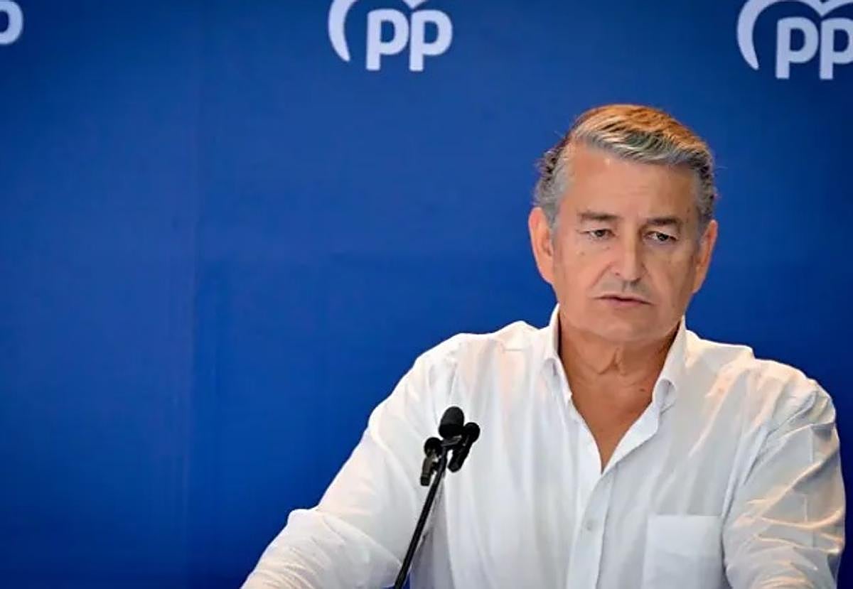 El consejero andaluz de la Presidencia, Interior, Diálogo Social y Simplificación Administrativa, Antonio Sanz.