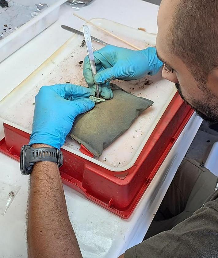 Imagen secundaria 2 - Trabajo de laboratorio. 