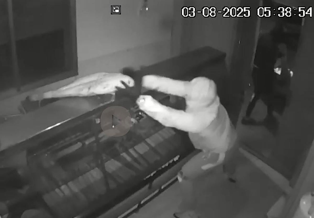 Encapuchados robando jamones en un secadero de Padul al que llegaron con un coche robado.