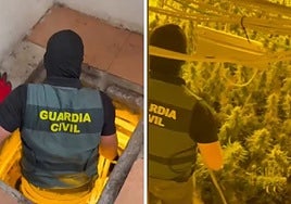 La Guardia Civil descubre un zulo lleno de marihuana en Albolote que ha dañado la vivienda colindante