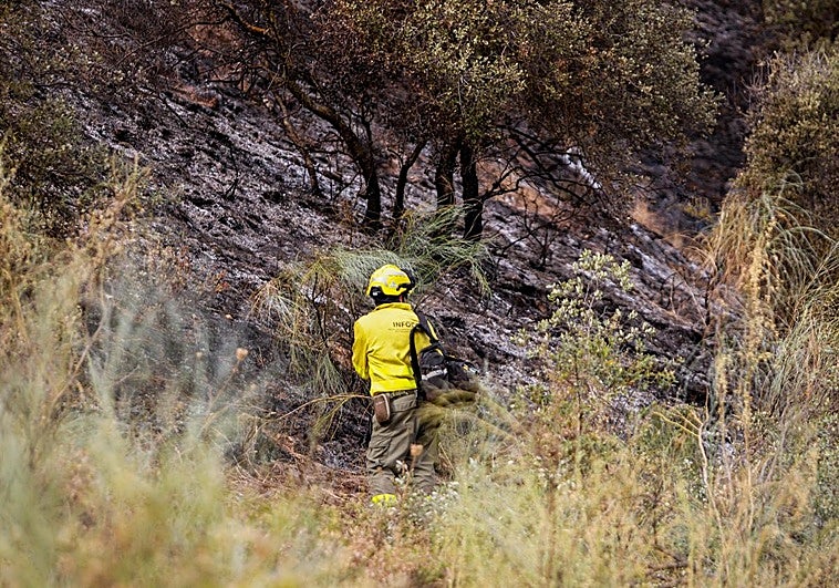 Un bombero del Infoca en la zona incendiada este domingo.