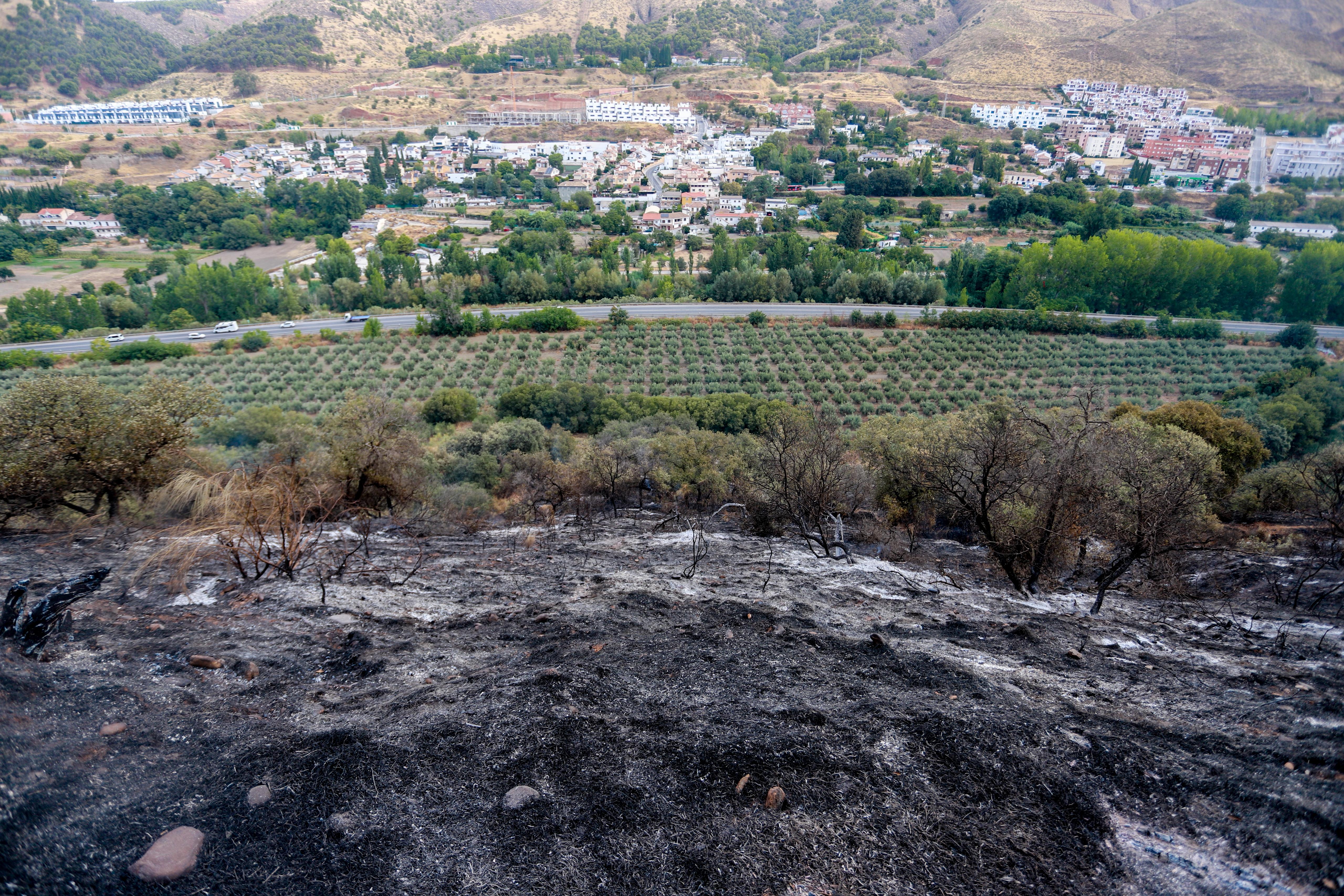Así ha quedado la zona quemada en la Fuente de la Bicha