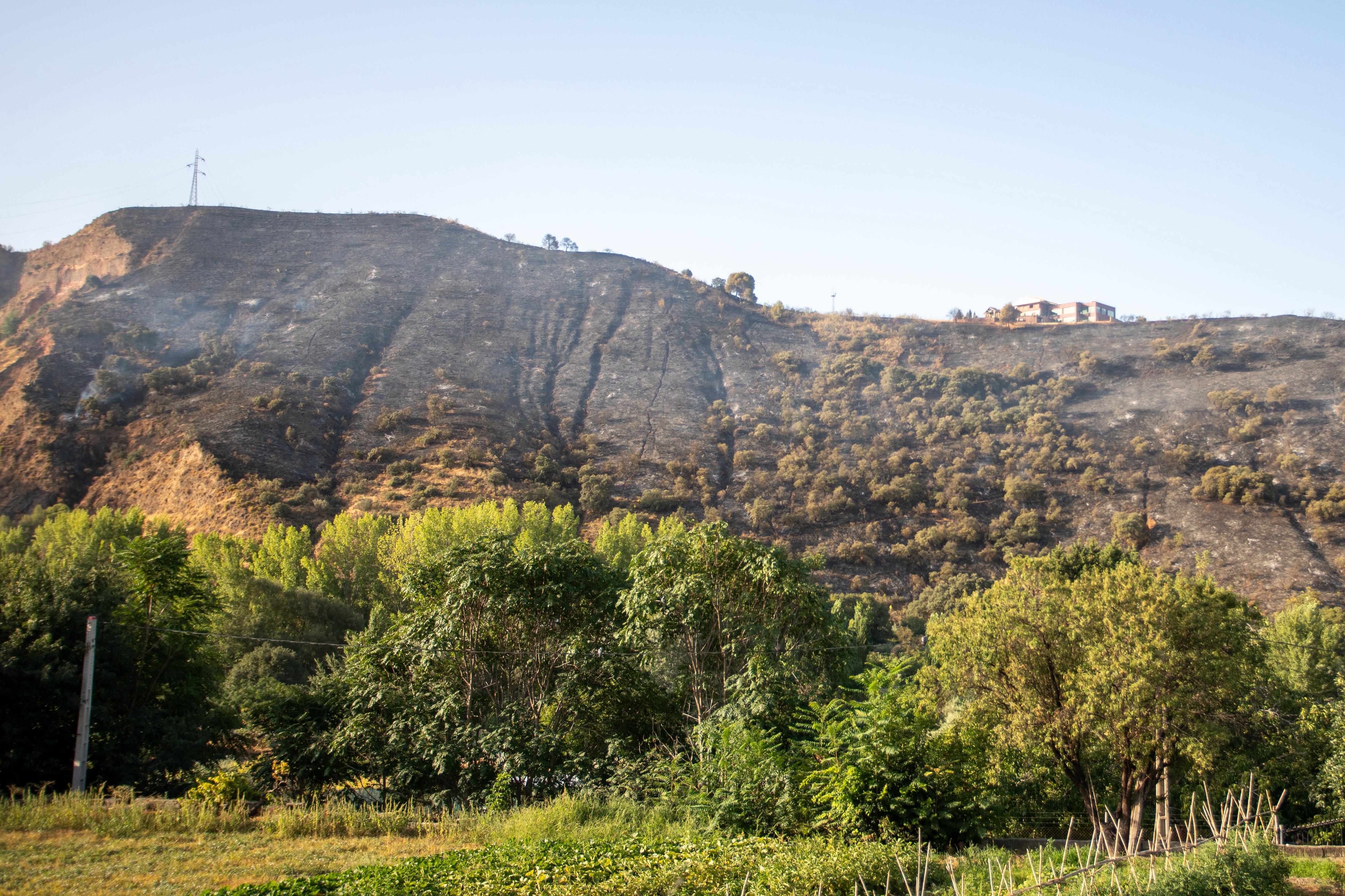 Así ha quedado la zona quemada en la Fuente de la Bicha