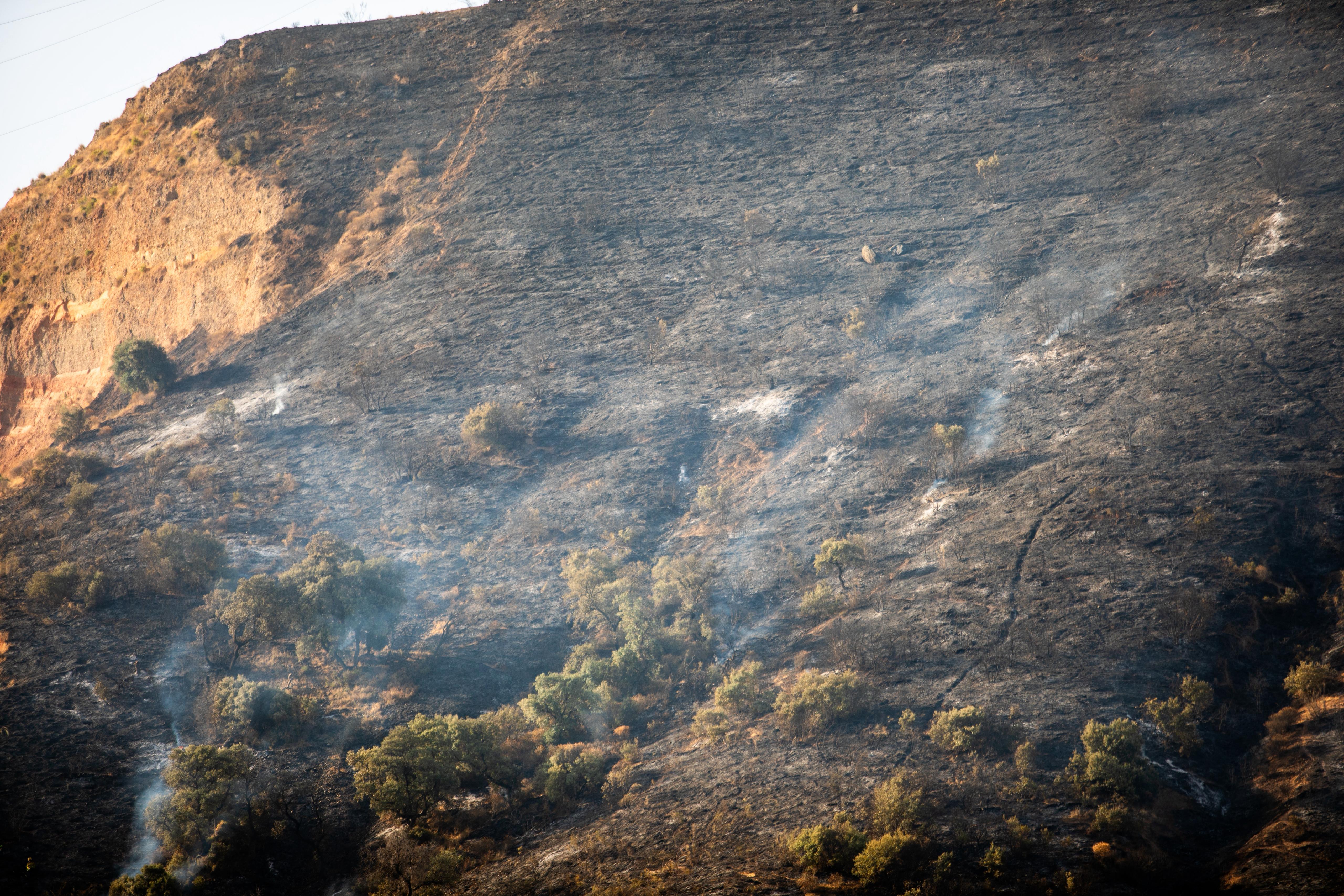 Así ha quedado la zona quemada en la Fuente de la Bicha