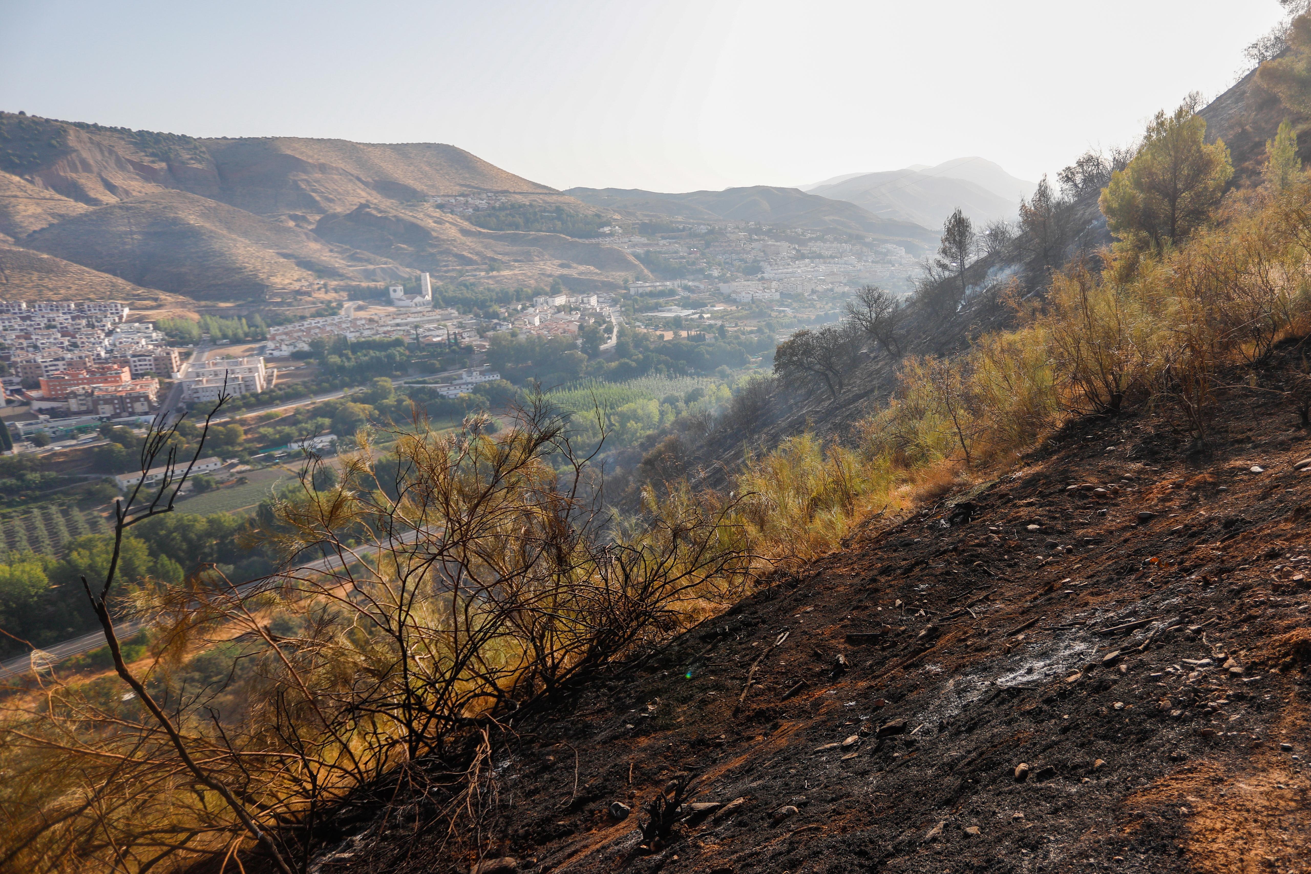 Así ha quedado la zona quemada en la Fuente de la Bicha