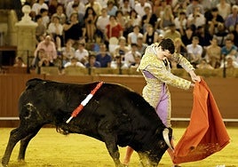 Blas Márquez ha toreado en plazas importantes. Aquí lidia a un novillo en la Maestranza.
