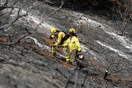 Así ha quedado la zona quemada en la Fuente de la Bicha.