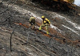 Dos bomberos trabajan en la ladera de la Fuente de la Bicha.