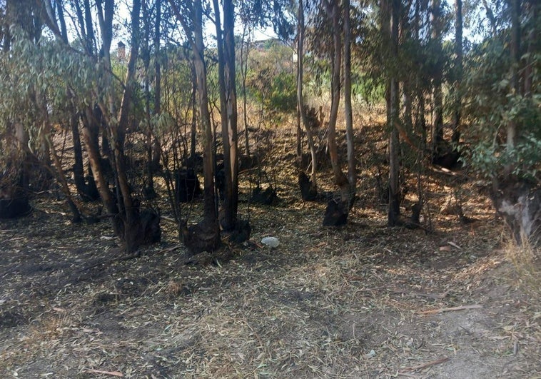 Provoca un incendio tras tirar cohetes y petardos en un cumpleaños en Órgiva