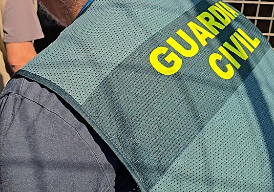 Aparecen en un zoo clandestino de Nules dos guacamayos robados en Almería