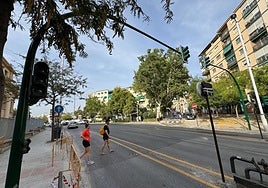 Avenida Madrid con vehículos en ambos sentidos.