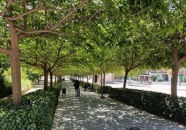 Los árboles ofrecen una amplia sombra mientras la entrada a la antigua prisión provincial permanece estoicamente al sol