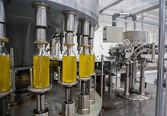 Envasado de botellas de aceite en una imagen de archivo.